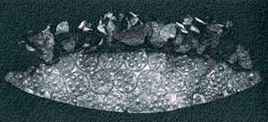 Diadema - Micene - XVI secolo a.C.