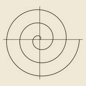 Spirale Evolvente o di Archimede